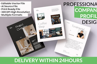 design costum business profile, business catalog, etc