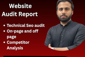 provide a detailed SEO audit report and execution plan