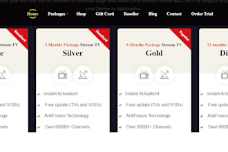 design and develop professional iptv websites on wordpress