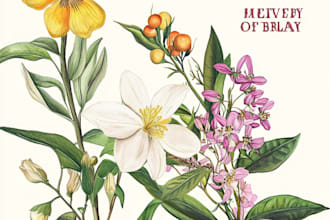 draw botanical illustrations of flowers, plants, fruits