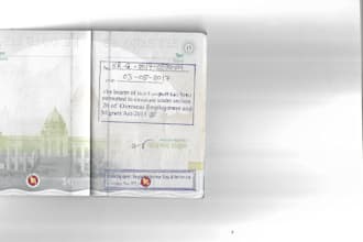 do something good at immigration and visa consulting