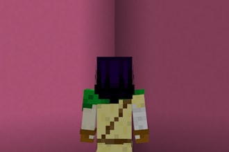 do minecraft skins from concept arts or description