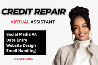 be your executive personal credit repair and HR virtual assistant public records