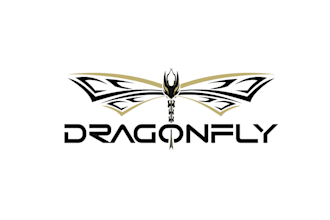 design a professional and unique dragon logo for your brand