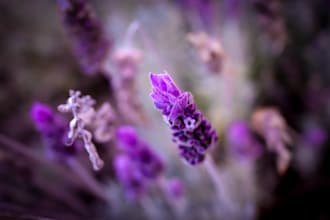 do photo editing in adobe lightroom