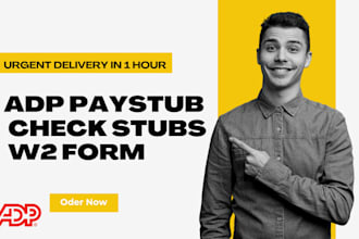 do custom paystub, payslip, and payroll services fast delivery