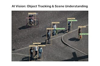 provide image segmentation, classification, and object detection