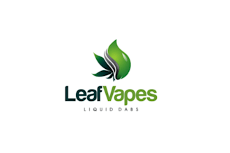 create unique modern leaf logo design for your brand