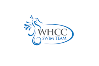 design swim company word mark logo