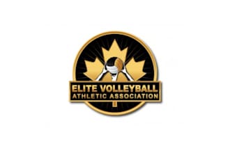 make sustainability volleyball logo design for you