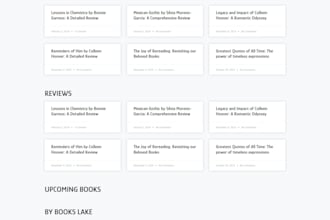 provide technical and operational support for your shopify store