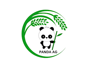 do make an modern custom panda logo