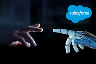 be your salesforce consultant as certified admin and business analyst