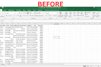 do data cleaning in excle in 24 hours, data formatting, data entry