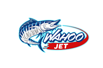 do custom fish logo design in 12hrs