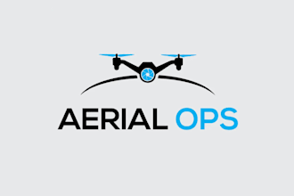 design a logo for drone service business and company