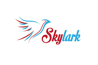 make cleaning business bird logo design