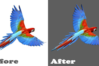 do photoshop background removal and image editing