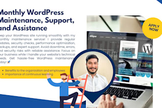 provide monthly wordpress maintenance and support