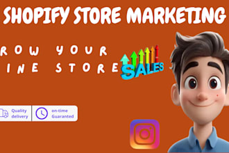 do shopify dropshipping store marketing SEO social media facebook ads promotion