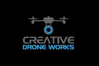 make an amazing luxury drone logo design in very short time