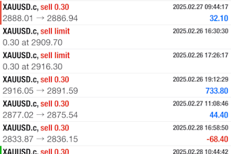 provide forex trading bot, forex trading bot, trading bot, forex trading bot