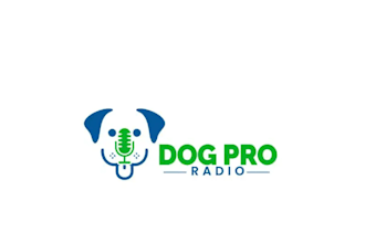 create high quality and beautiful radio logo design for you