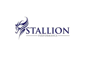 design a professional performance logo and full branding for you