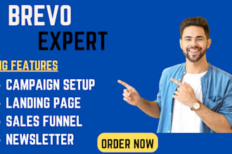 setup brevo automation, brevo email campaign, bravo automation, brevo newsletter