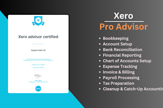 do accounting and bookkeeping using xero