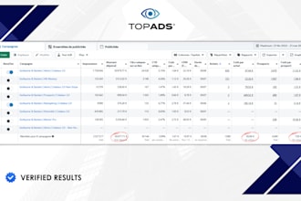 audit and optimize your meta or google ads campaigns for better ROI