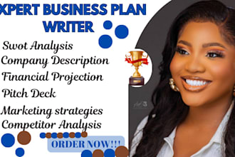 create an investor ready business plan, roadmap for your success, sba plan