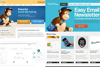 mailchimp landing page, newsletter, email automation, as an expert