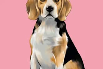 draw a custom pet portrait, dog portrait, cat portrait