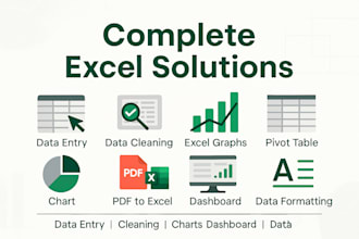 excel data entry, pivot tables, graphs, data cleaning etc