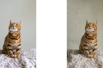 edit your photos to give them a vintage film camera look