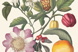 make a botanical illustration art for you