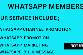 grow whatsapp followers gain 50k member whatsapp channel whatsapp bulk message