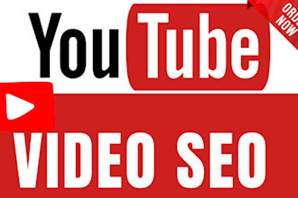 do youtube channel SEO and video optimization for top ranking