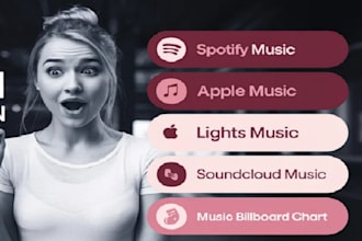 viral USA songs track promotion, album promotion, playlist curators