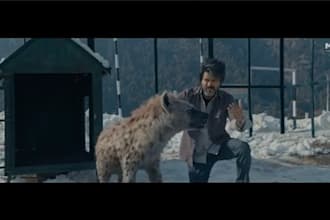 integrate 3d animal animation, 3d animal model, animal compositing ,vfx,cgi