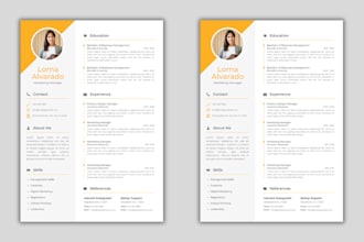 design, revamp a professional resume or cv, edit resume or cv template