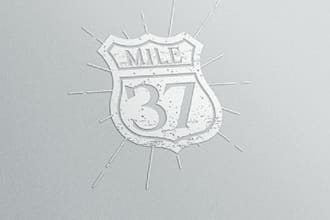 design a custom vintage retro hipster logo for your brand