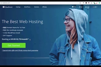 build a professional bluehost website for your business or blog