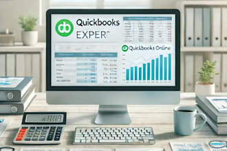 provide professional bookkeeping and accounting service