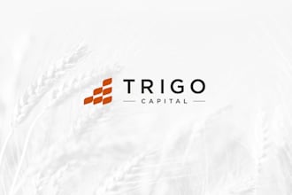 design professional financial, marketing, or accounting logo