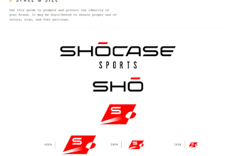 create stunning brand guidelines
