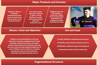 create professional reports, proposals, case studies, and analysis