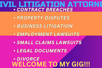 draft court motions, lawsuit, complaint, petitions, appeal, summon, case briefs