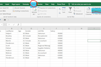 custom excel spreadsheet template , data cleaning, analysis
